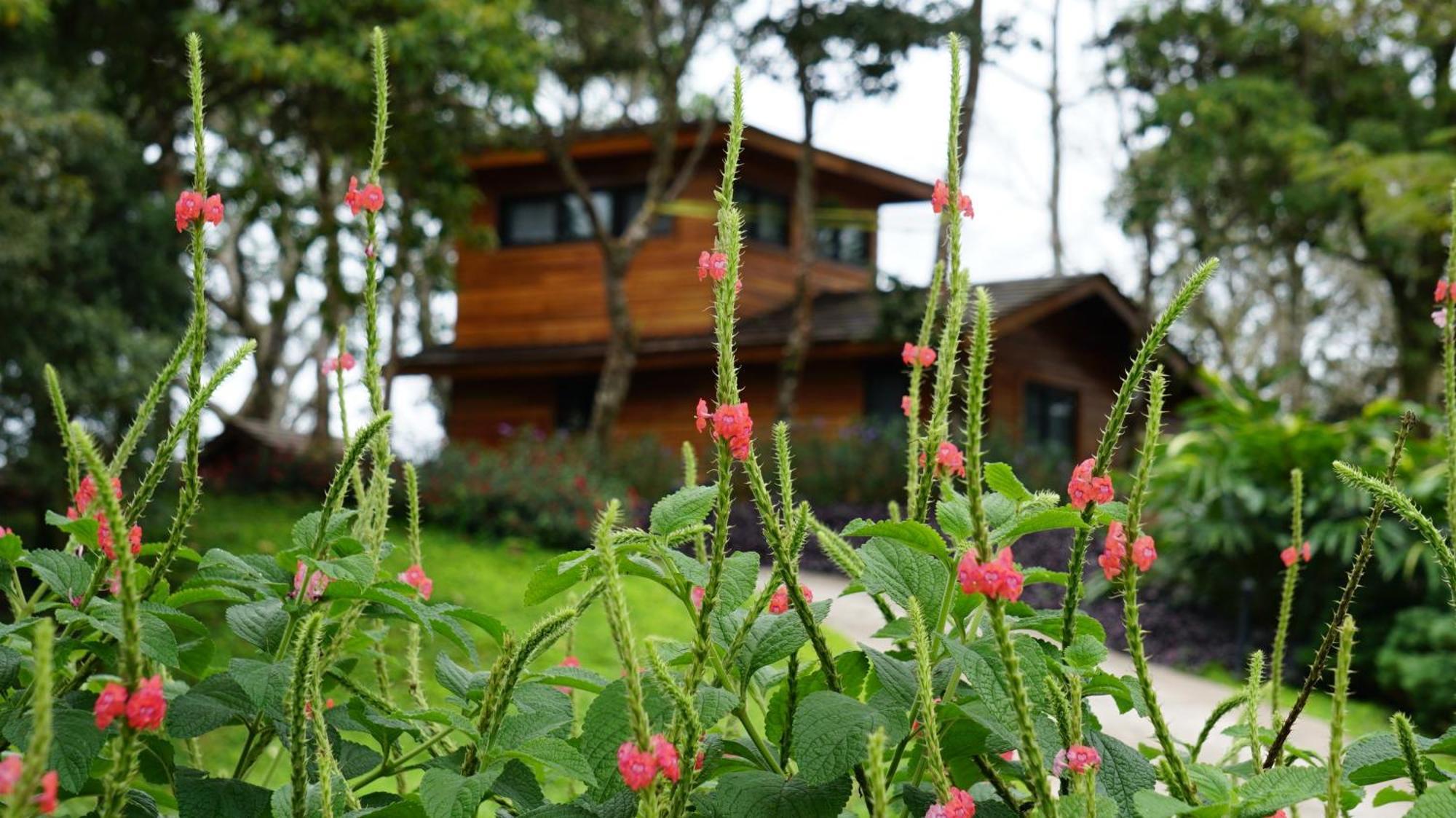 Lucero Golf And Country Club Tree Houses Boquete Bagian luar foto